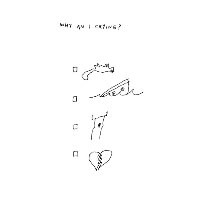 Questions Without Answers by Sarah Manguso and Liana Finck